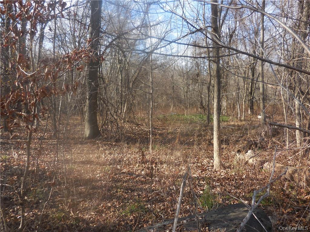 Lake Dr, Newburgh, NY 12550, USA property photo 13