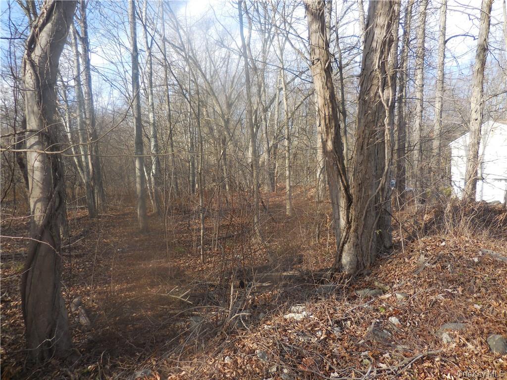 Lake Dr, Newburgh, NY 12550, USA property photo 15