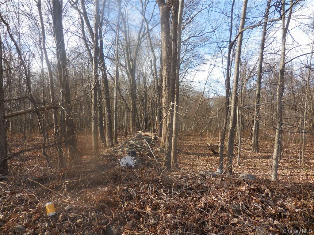 Lake Dr, Newburgh, NY 12550, USA property photo 21