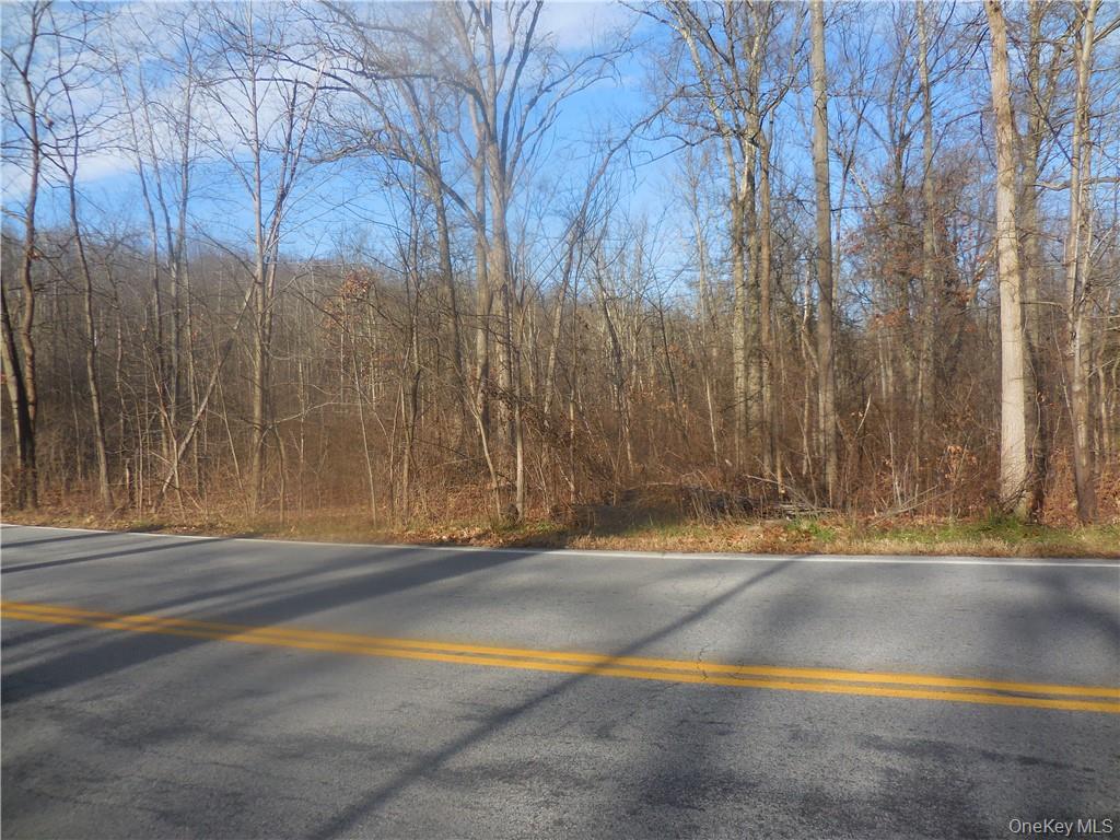 Lake Dr, Newburgh, NY 12550, USA property photo 29