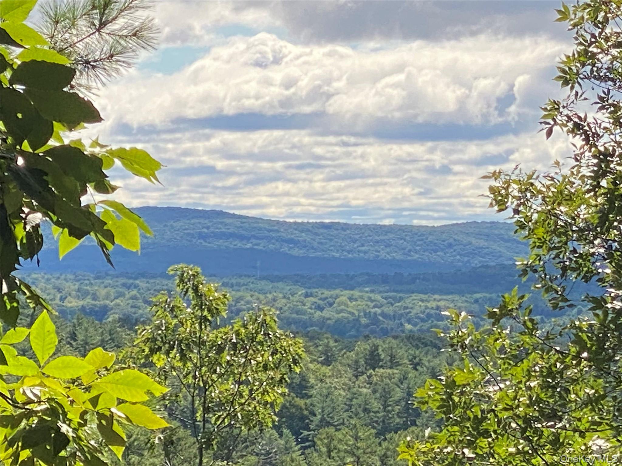 0 Dug Hill Rd, Hurley, NY 12443, USA property photo