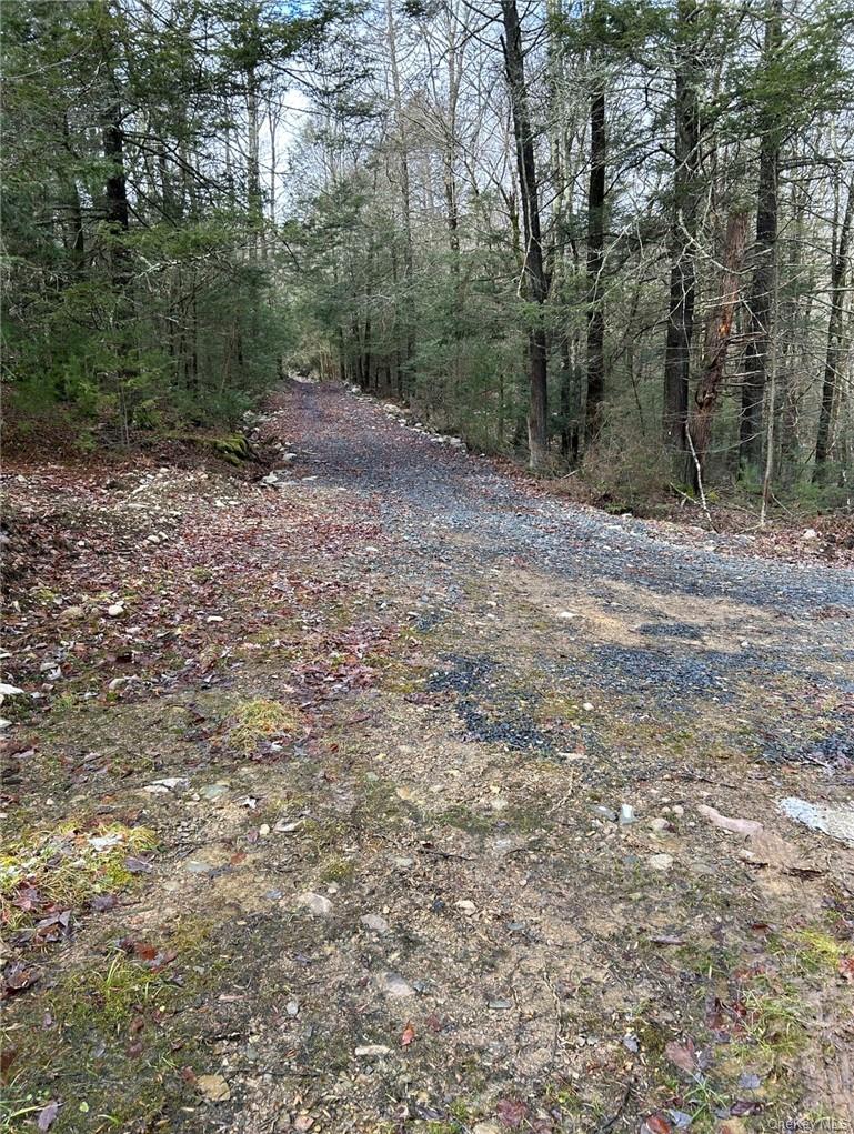 143 Brandt Rd, Cuddebackville, NY 12729, USA property photo