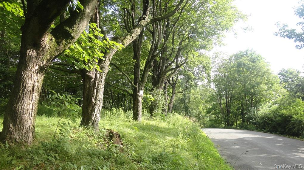 Henry Rd, Cragsmoor, NY 12420, USA property photo
