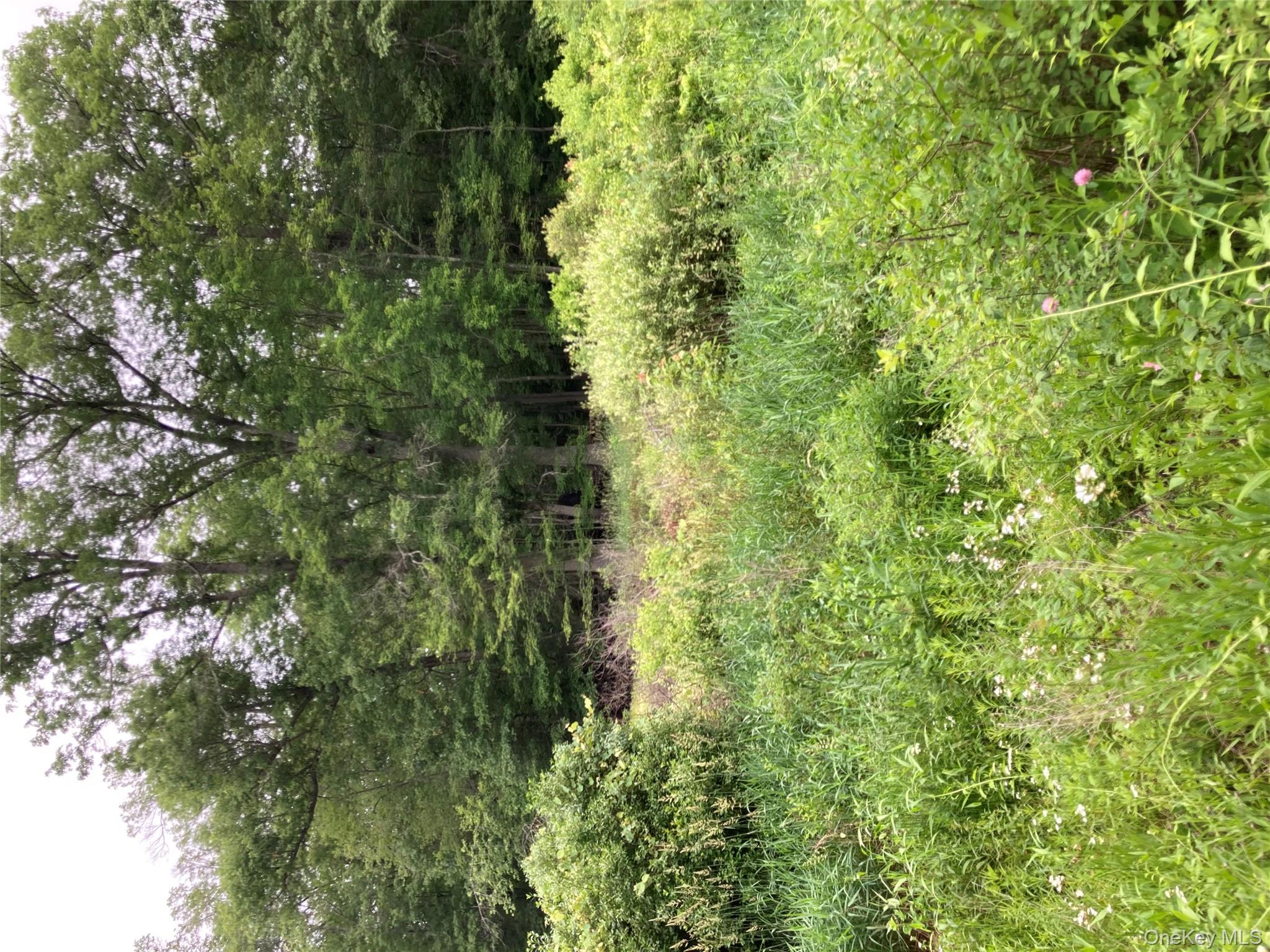 Baxtertown Rd, Fishkill, NY 12524, USA property photo