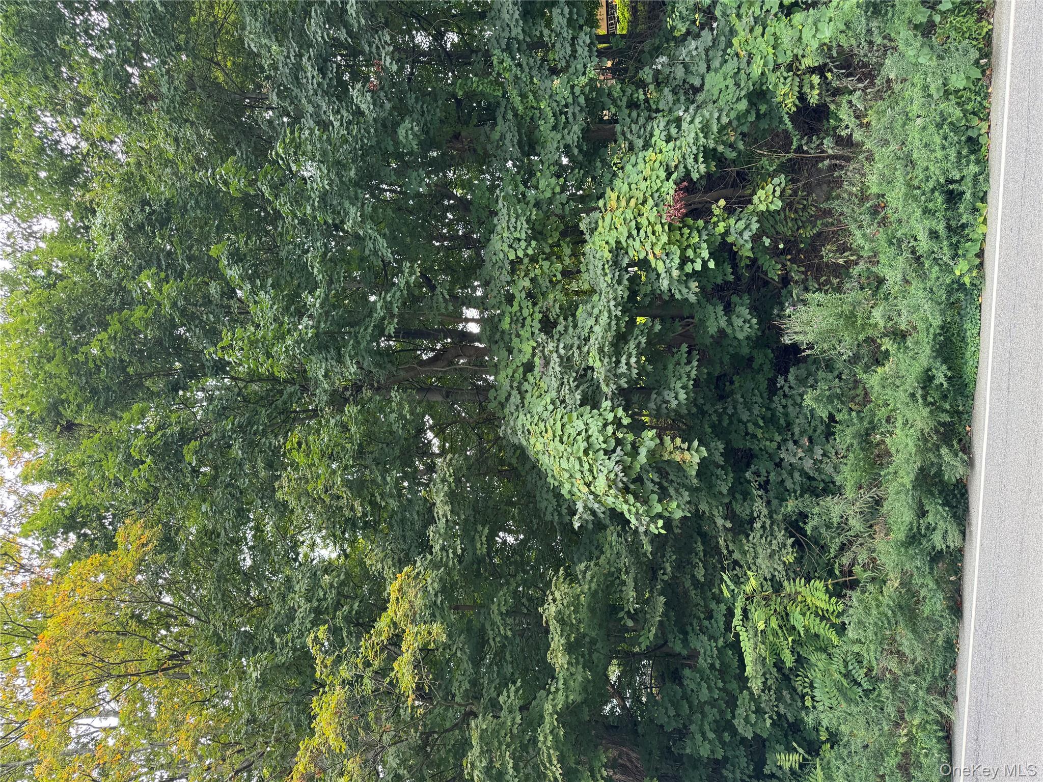 1605 Crompond Rd, Peekskill, NY 10566, USA property photo