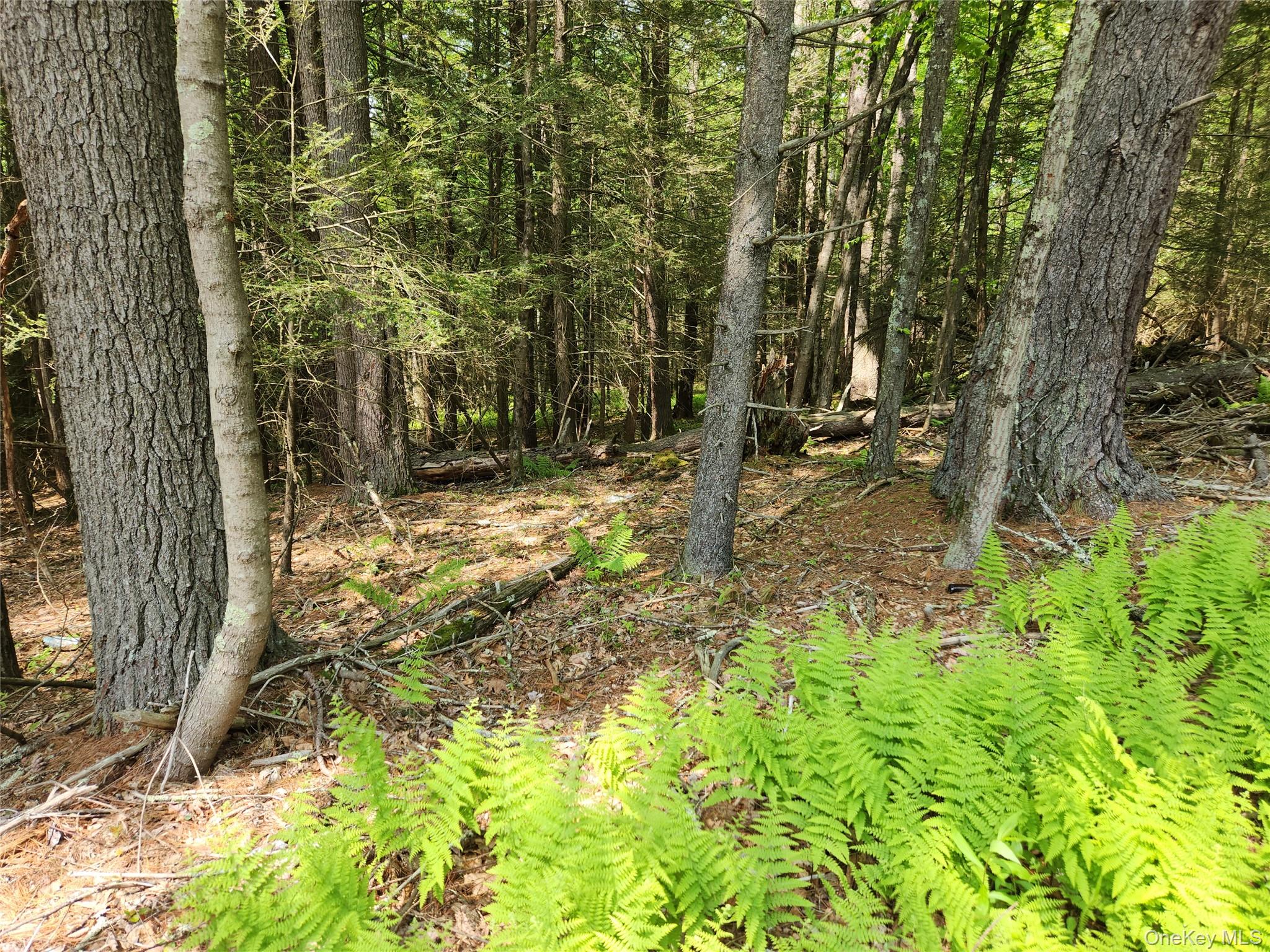 Highland Lake Rd, Eldred, NY 12732, USA property photo