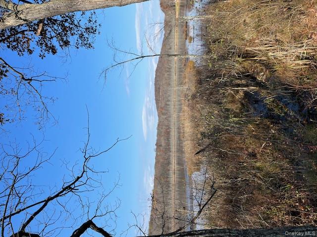 Lily Lake Rd, Lloyd, NY 12528, USA property photo