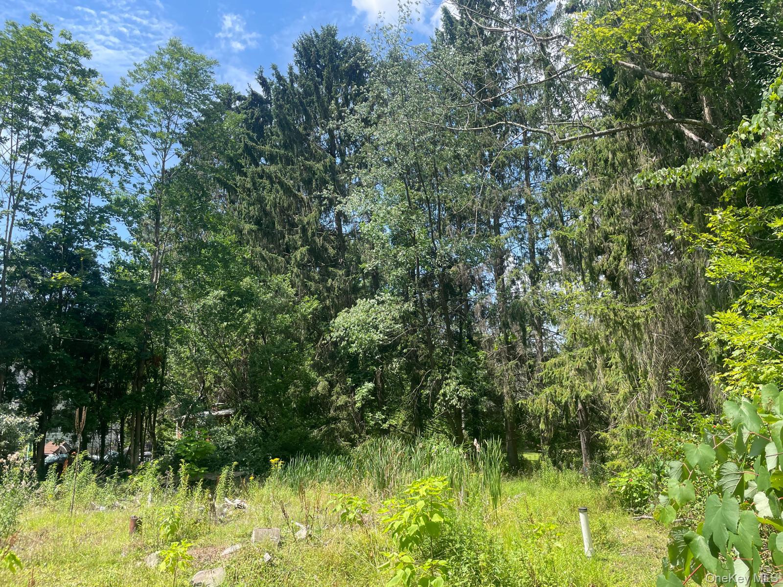 33 Dudley St, Harveys Lake, PA 18618, USA property photo