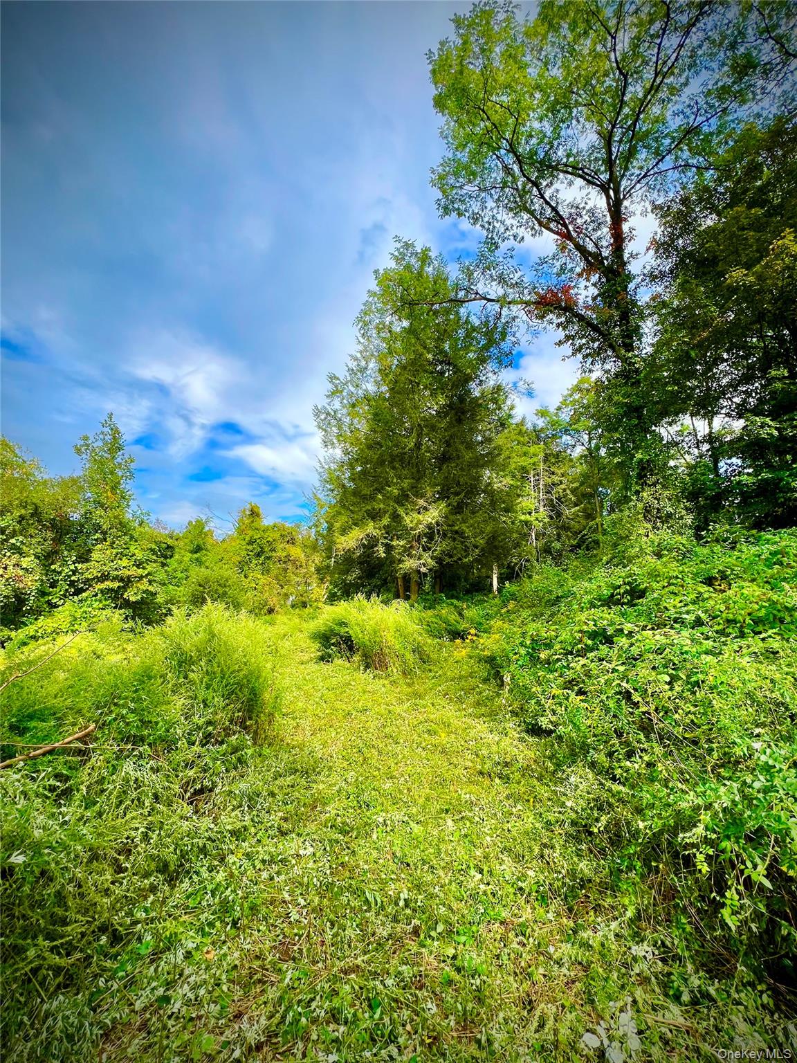 890 NY-312, Brewster, NY 10509, USA property photo