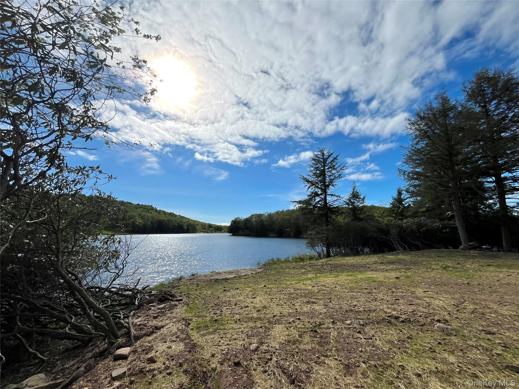 47 Eagles Ridge Way, Parksville, NY 12768, USA property photo
