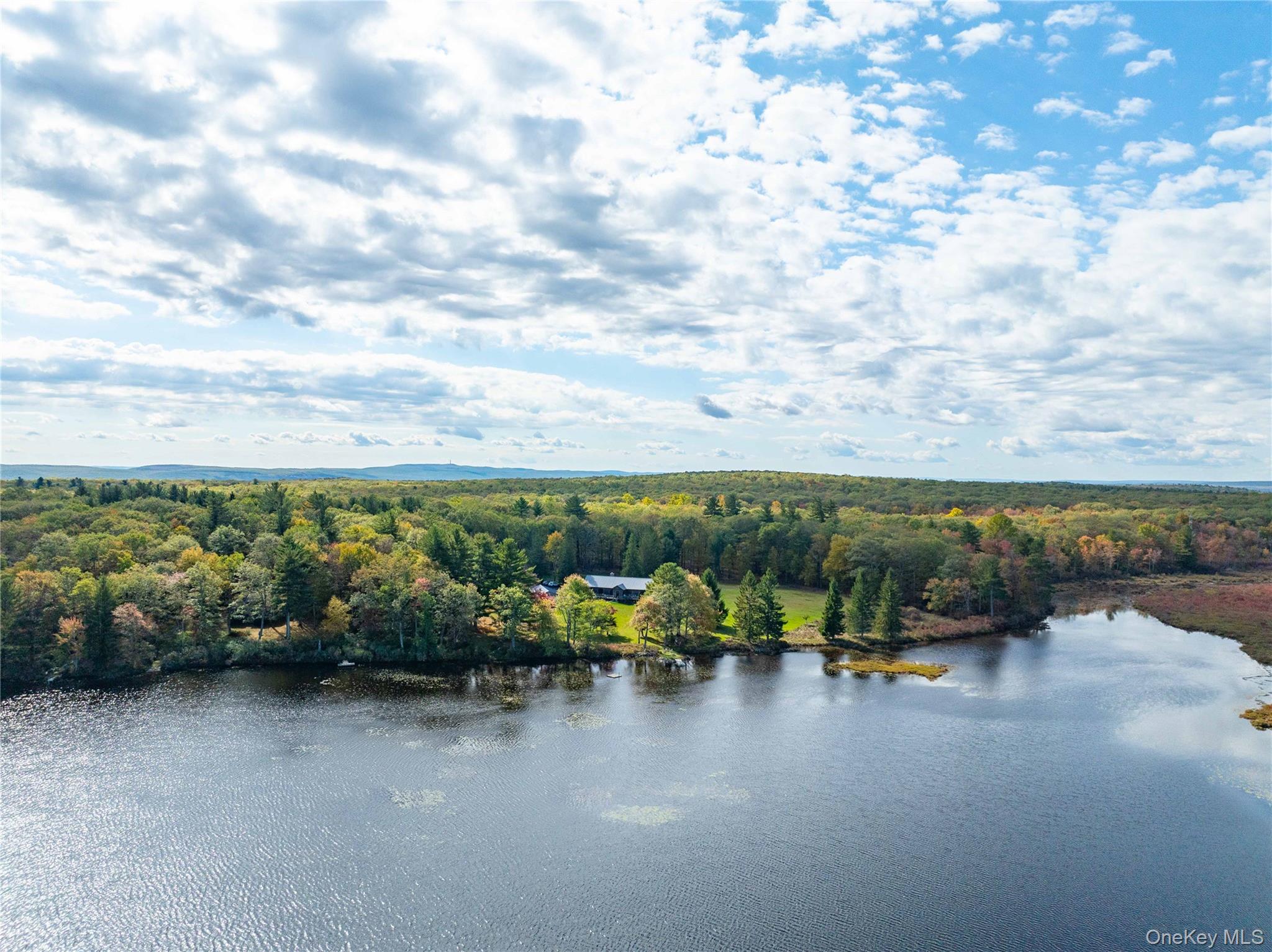 3 Big Lake Rd, Huguenot, NY 12746, USA property photo