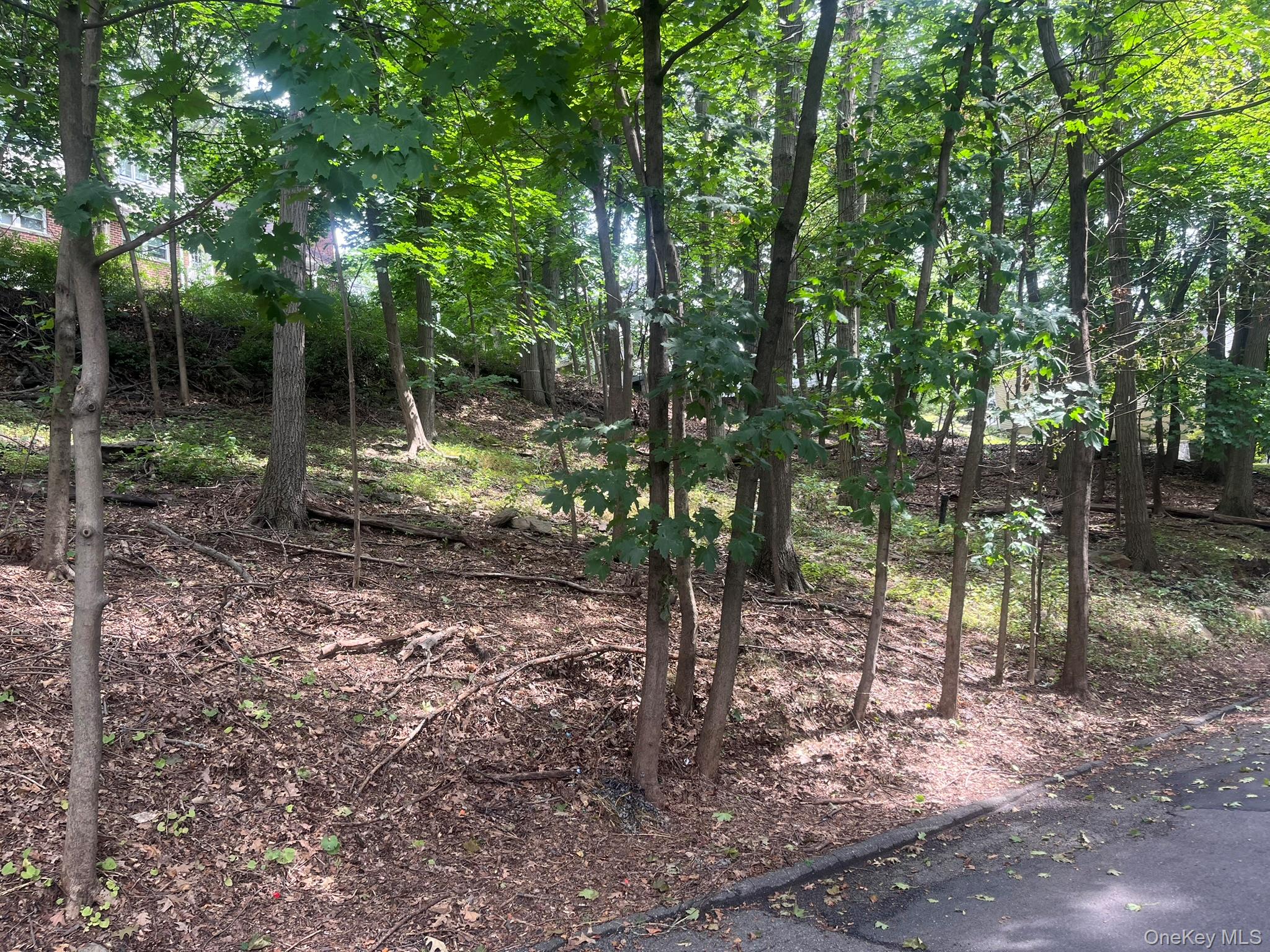 0 Springwood Ave, Ardsley, NY 10502, USA property photo