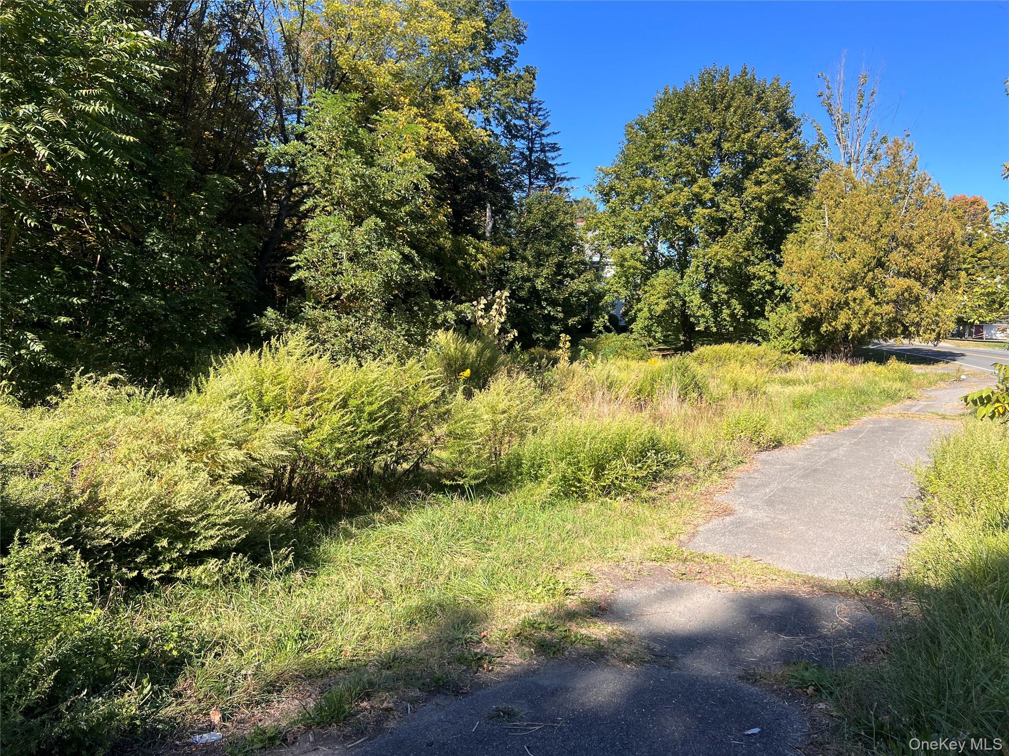 15 Main St, Napanoch, NY 12458, USA property photo