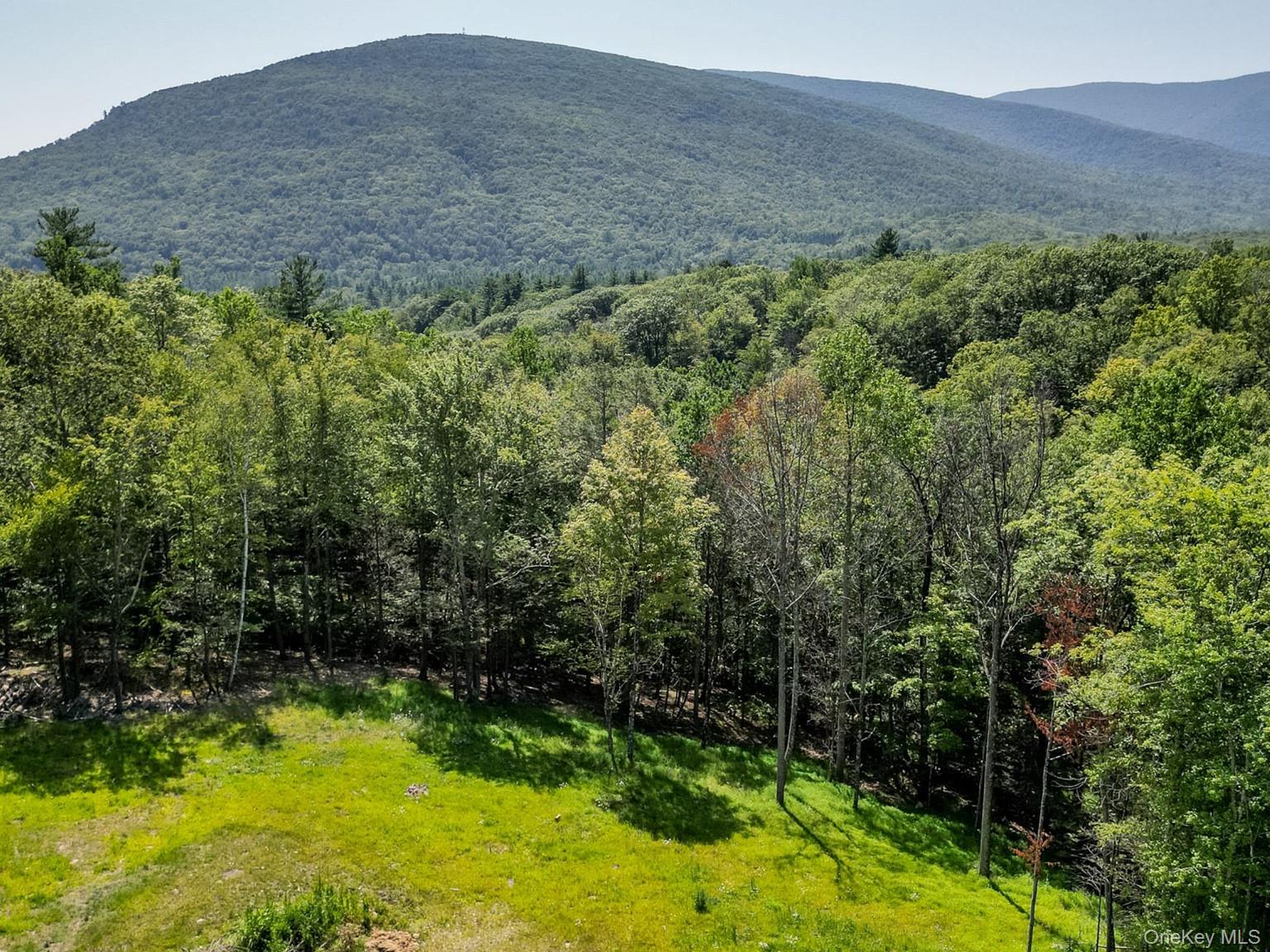 61 Hillside Dr, West Shokan, NY 12494, USA property photo
