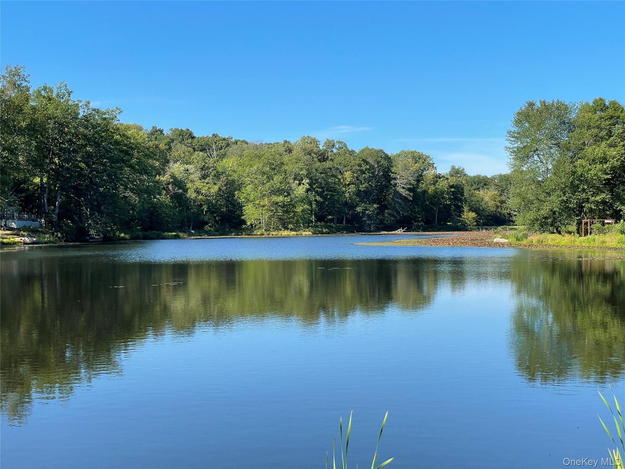 Lake Shore Dr, Shawangunk, NY 12566, USA property photo