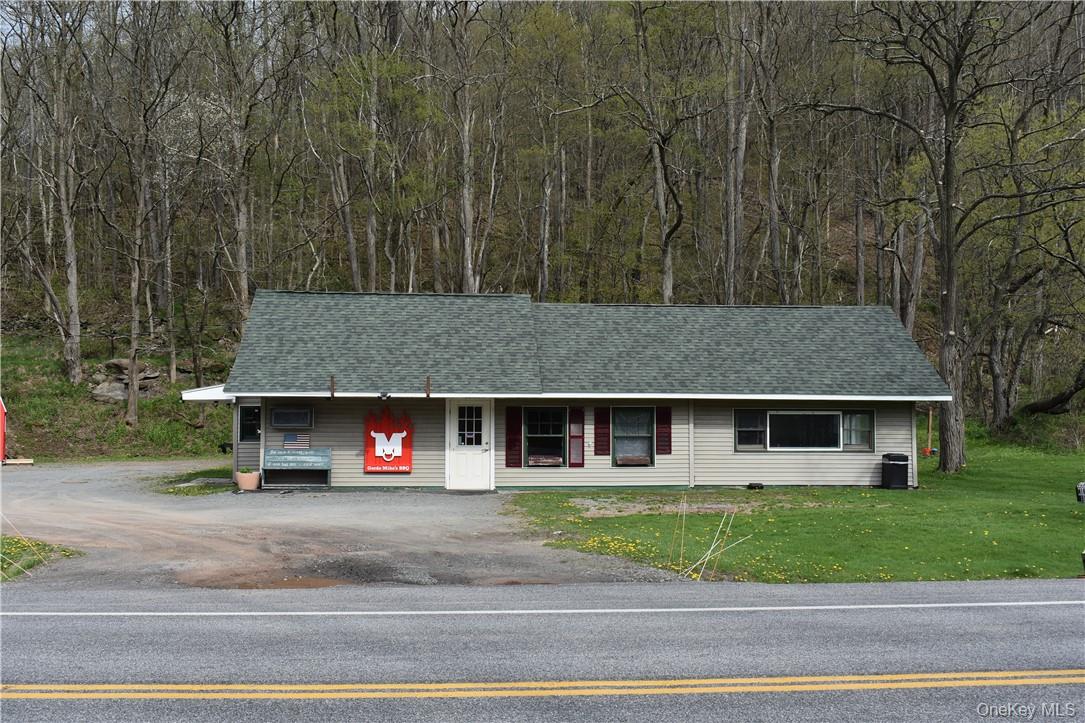 29735 NY-10, Walton, NY 13856, USA property photo