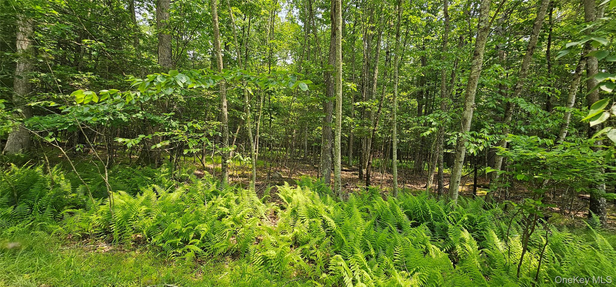 3 Woods Rd, Yulan, NY 12792, USA property photo