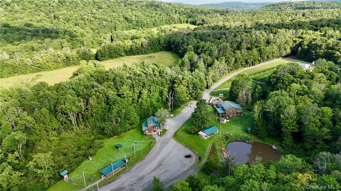 374 Neer Rd, Long Eddy, NY 12760, USA property photo
