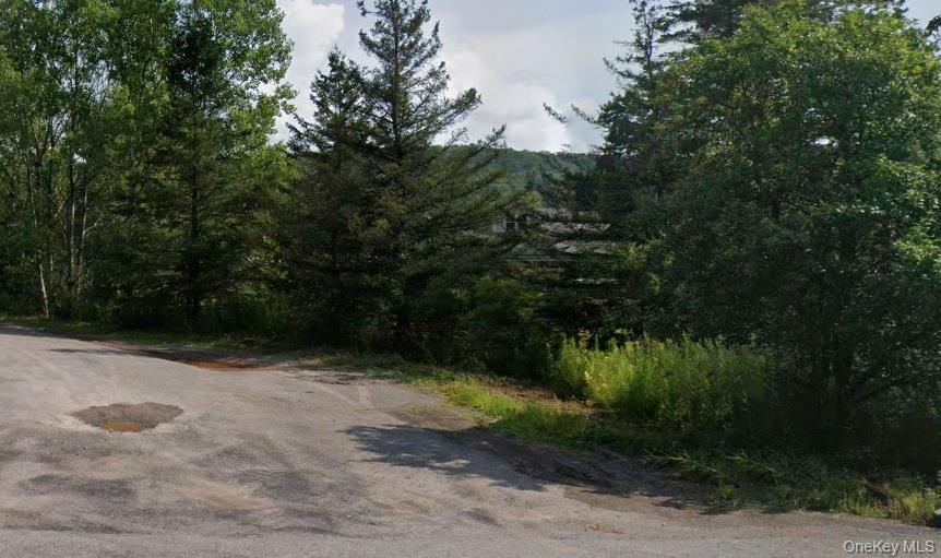 0 Crescent Hill Rd, Margaretville, NY 12455, USA property photo