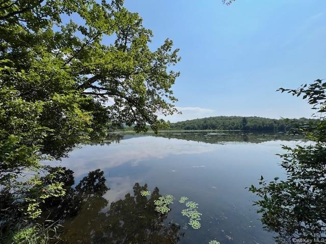 Swan Lake, NY 12783, USA property photo