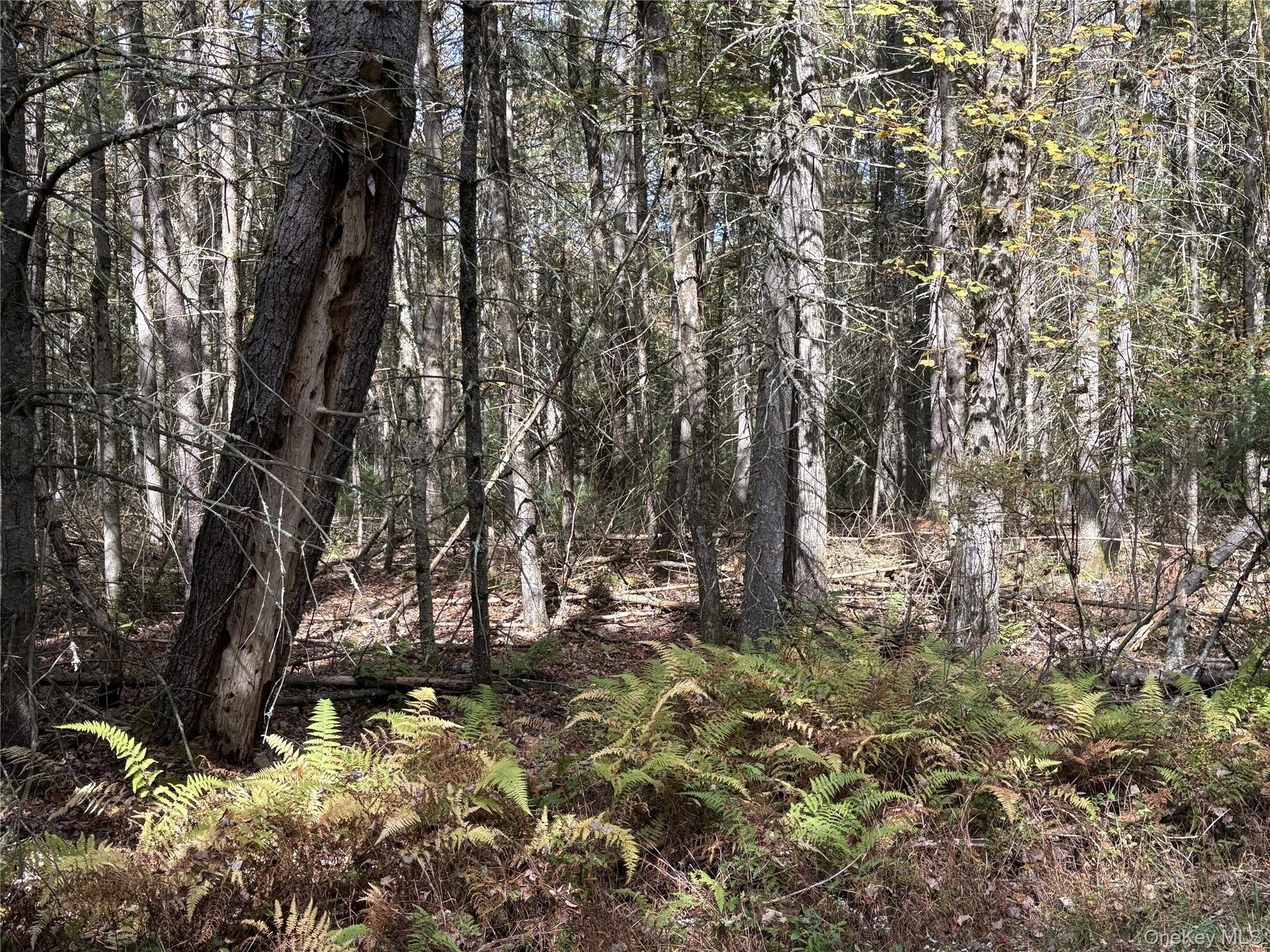 17 Desmond Xing, White Lake, NY 12786, USA property photo