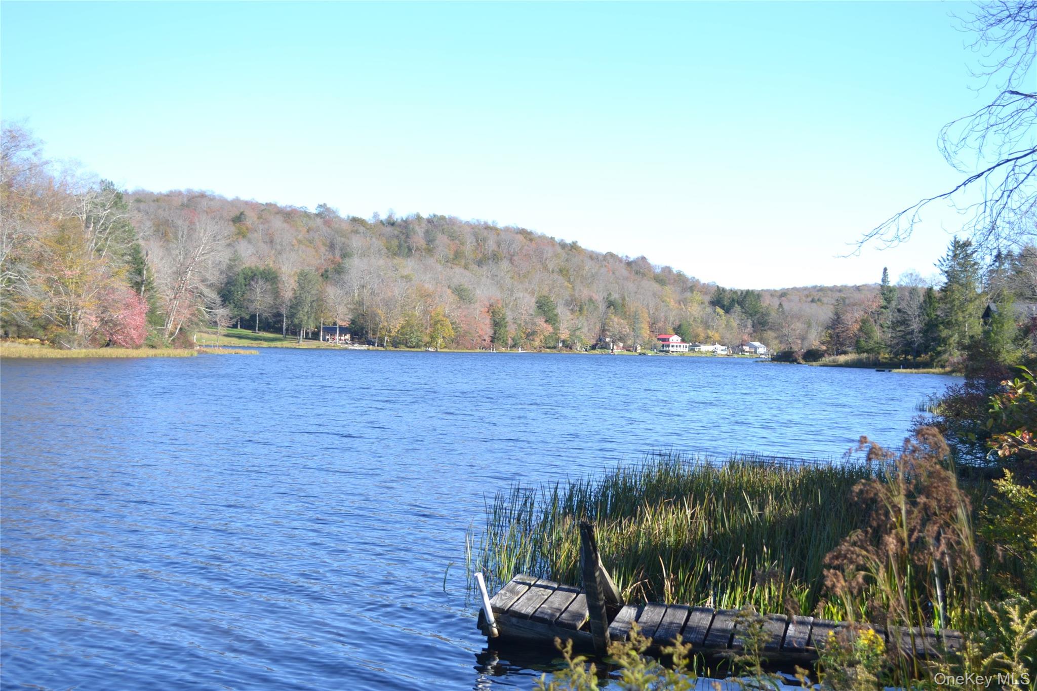 238 Trout Brook Rd, Roscoe, NY 12776, USA property photo