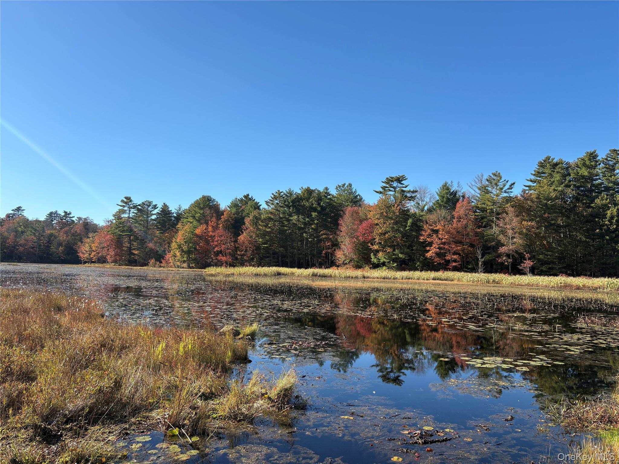 4 Deer Meadow Rd, White Lake, NY 12786, USA property photo