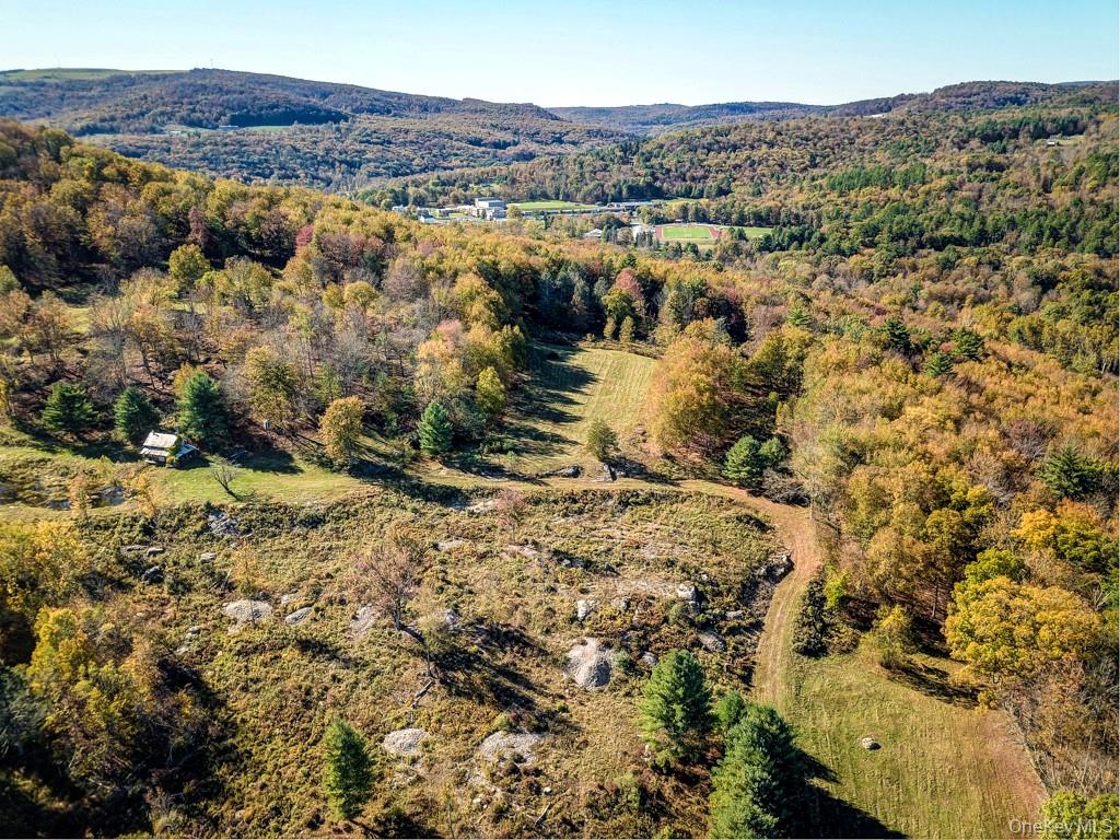 State Rte 55 & Smith Ln, Neversink, NY 12740, USA property photo