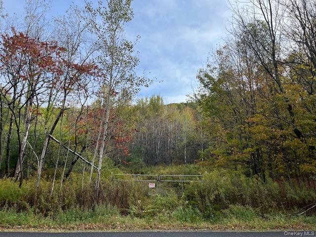 Ferndale Loomis Rd, Liberty, NY 12754, USA property photo