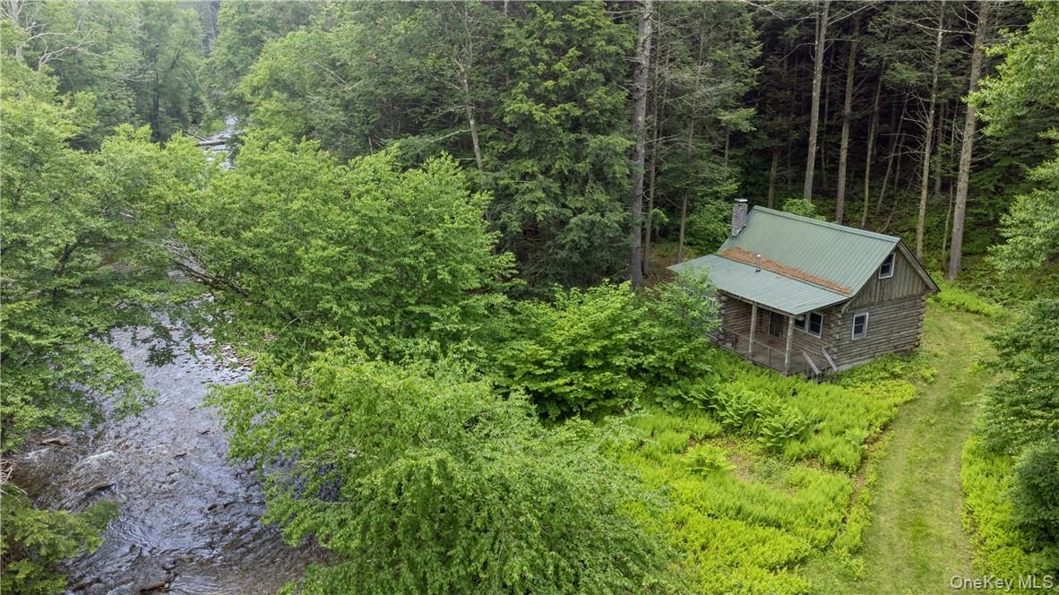 56 Saw Mill Rd, Claryville, NY 12725, USA property photo