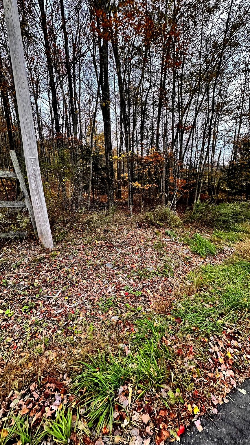 Hysana Rd, New York 12754, USA property photo