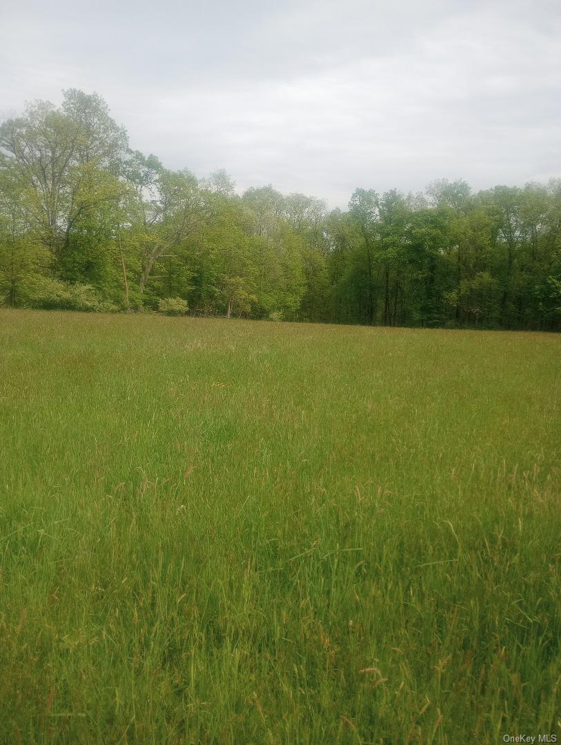 10 Myers Rd, Westtown, NY 10998, USA property photo