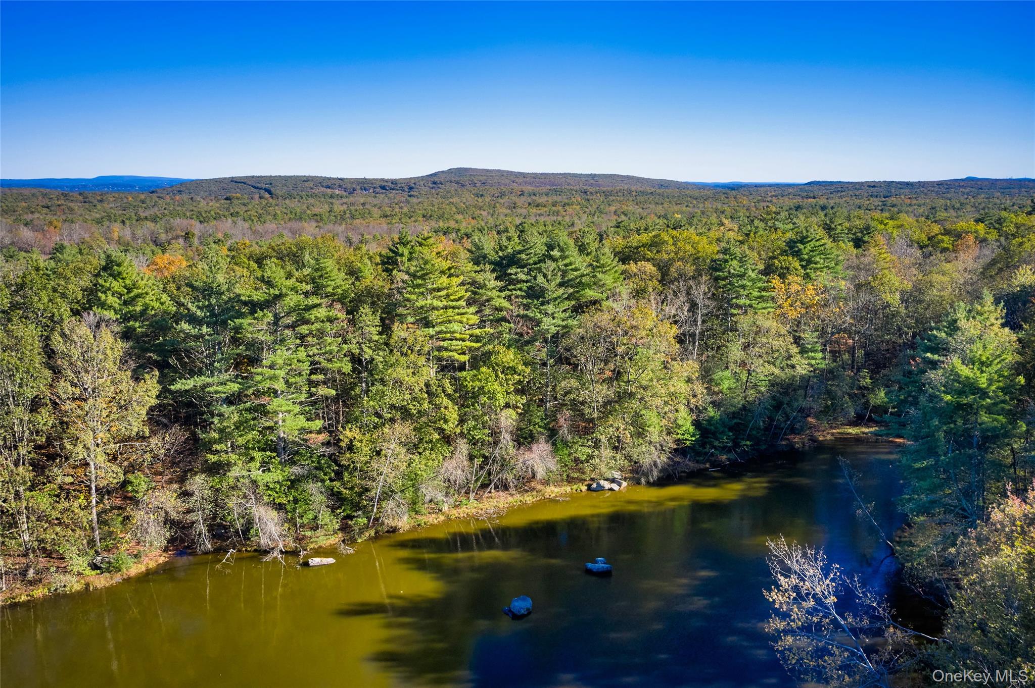 Band Camp Cir, Saugerties, NY 12477, USA property photo