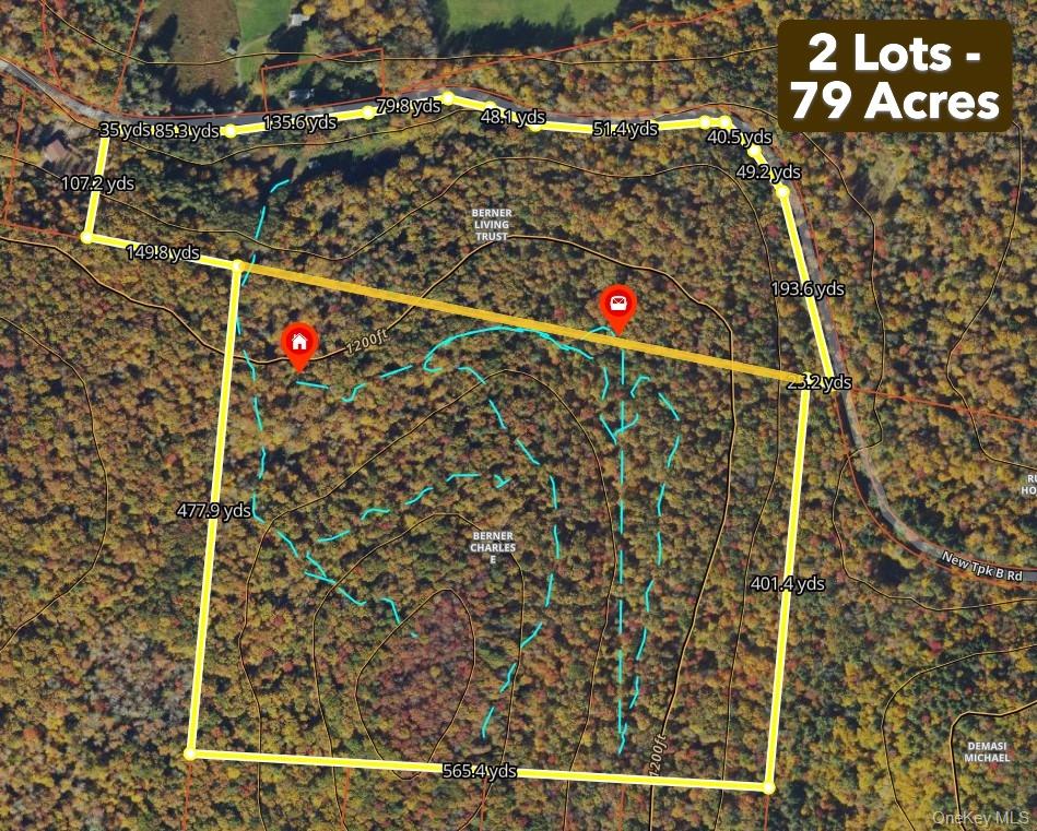 632 New Turnpike Rd, Callicoon, NY 12723, USA property photo