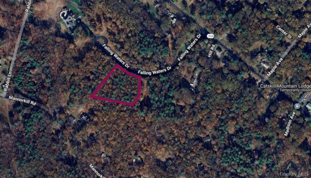 67 Falling Waters Dr, Palenville, NY 12463, USA property photo