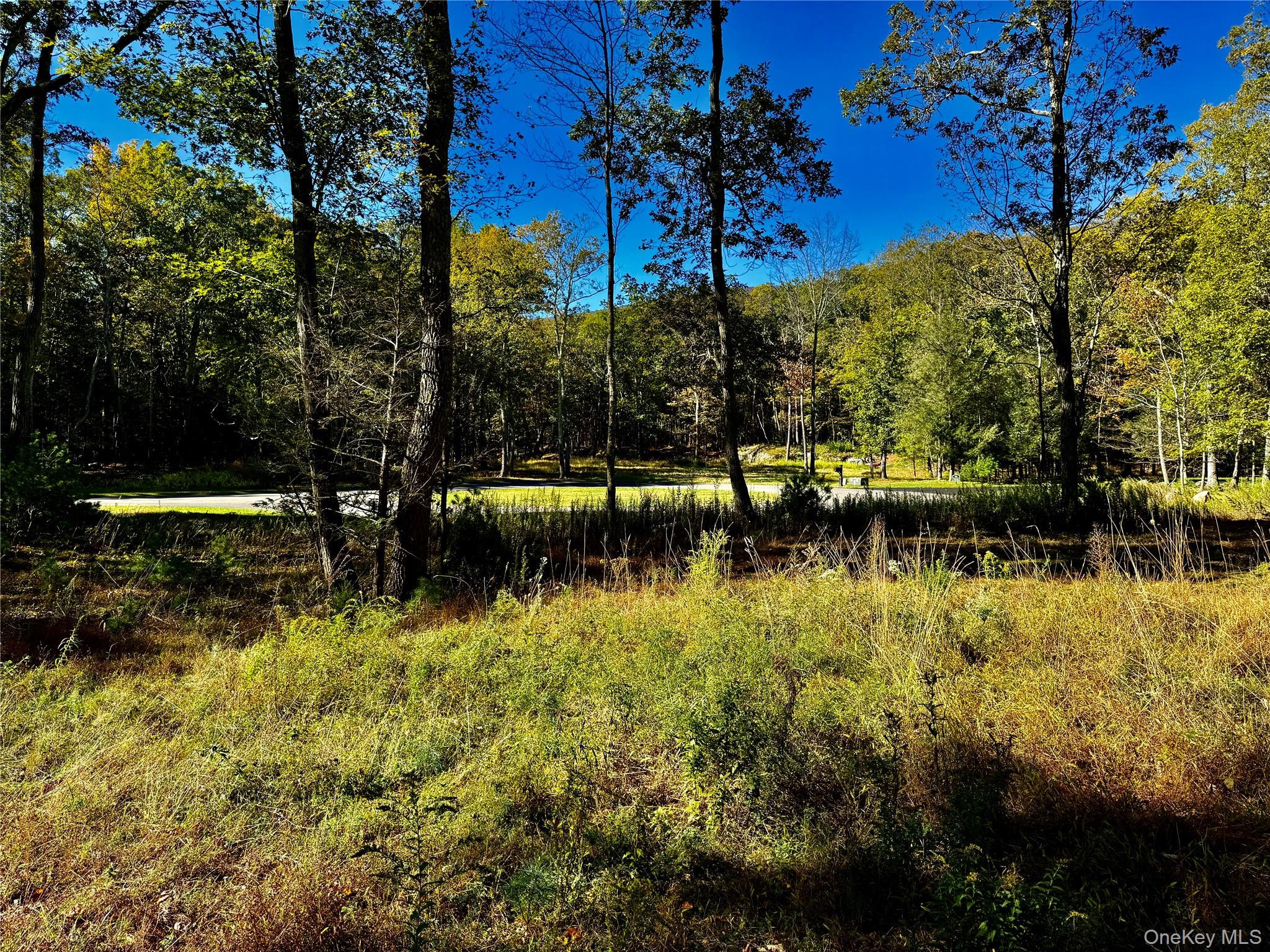 86 Falling Waters Dr, Palenville, NY 12463, USA property photo