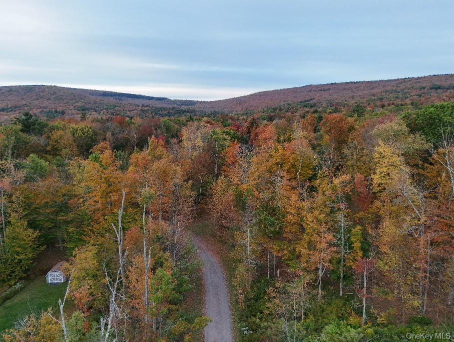 Kornell Dr, Hunter, NY 12436, USA property photo