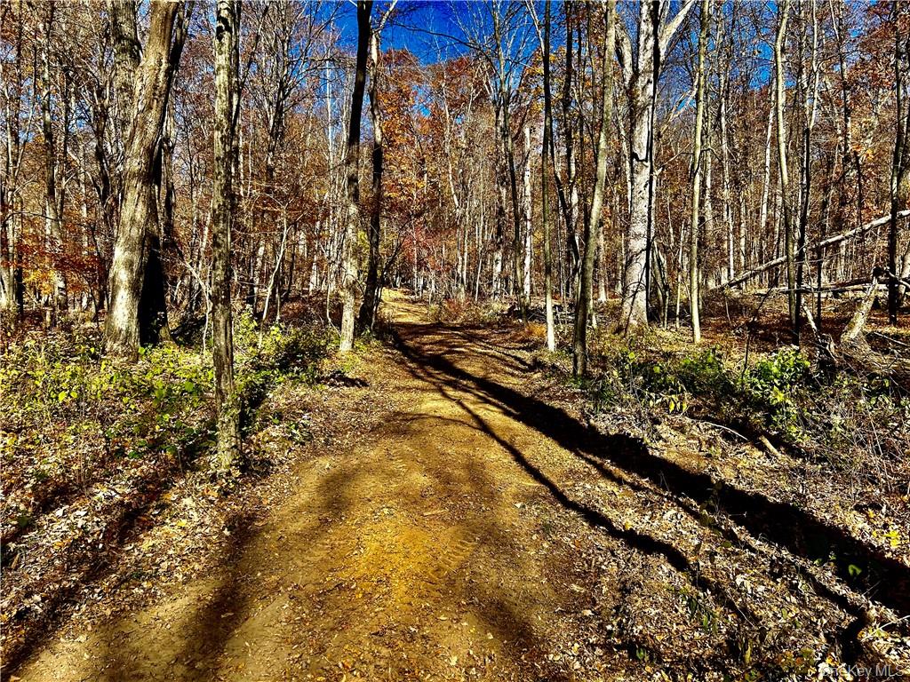 Westfall Rd, New York 12502, USA property photo