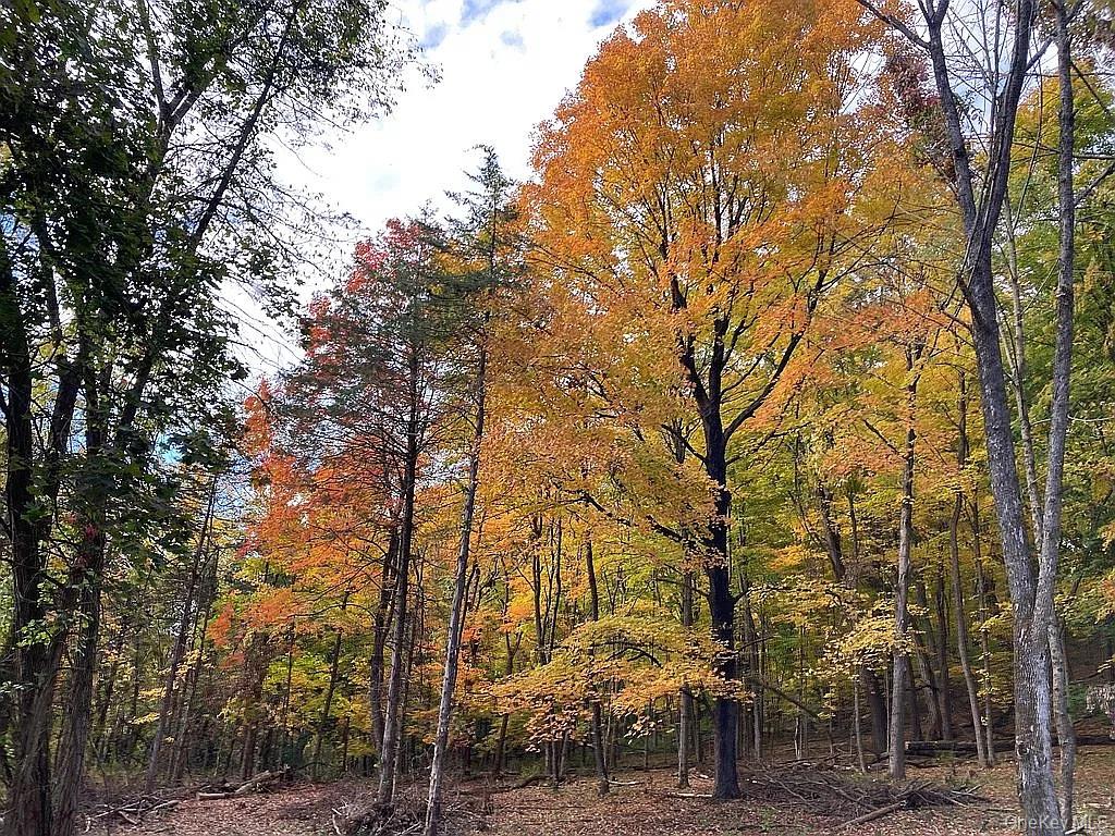 410 County Rte 25, Oswego, NY 13126, USA property photo