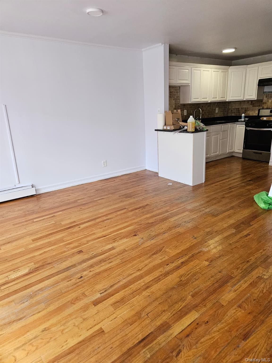 145-31 Lakewood Ave, Jamaica, NY 11435, USA property photo