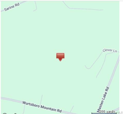 Wurtsboro, NY 12790, USA property photo