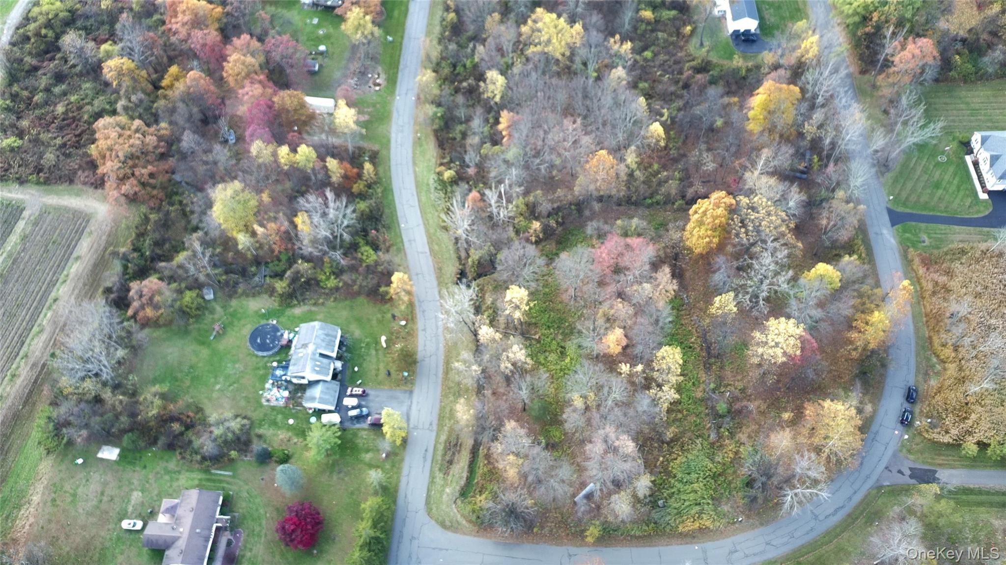 Evy Ln, Marlborough, NY 12547, USA property photo