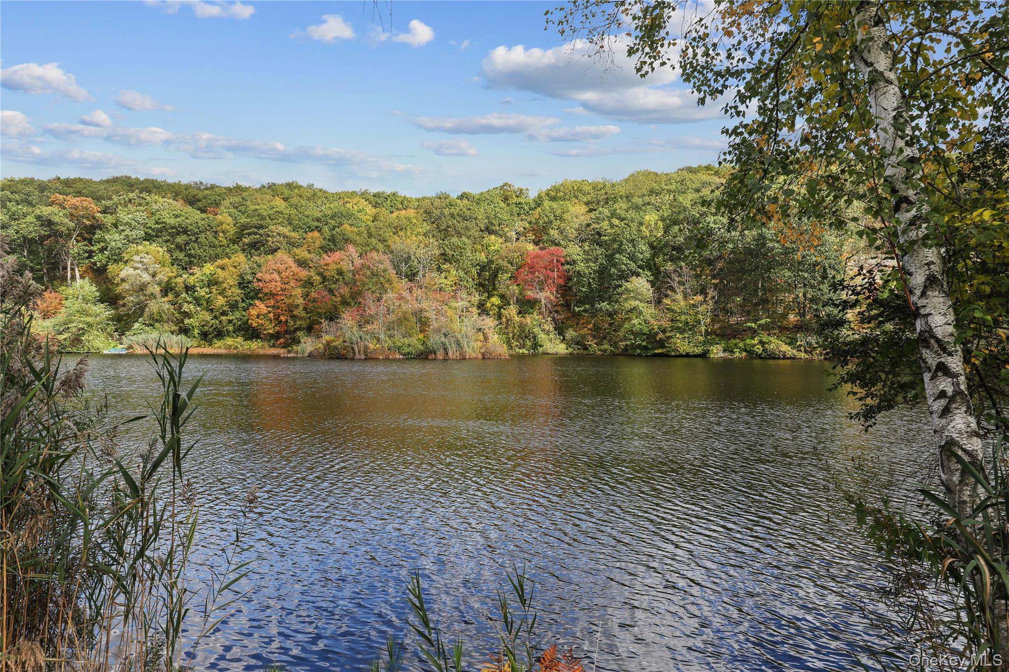 76 Byram Ridge Rd, Armonk, NY 10504, USA property photo