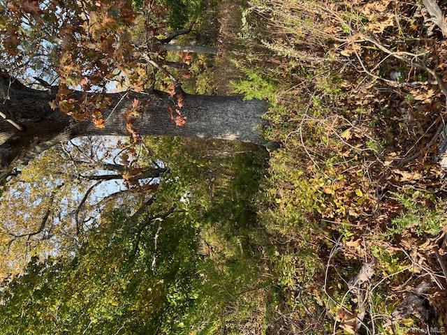 70 Old Quogue Rd, Riverhead, NY 11901, USA property photo