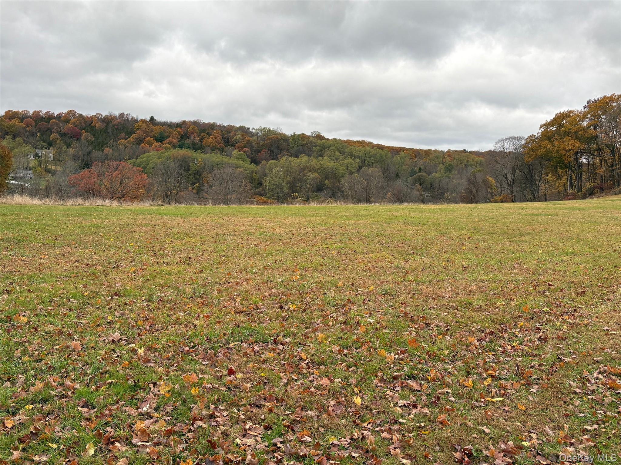 Pleasant Ridge Rd, Beekman, NY 12570, USA property photo