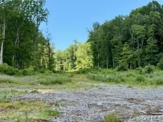 3 Chelsea Rd, Wappingers Falls, NY 12590, USA property photo