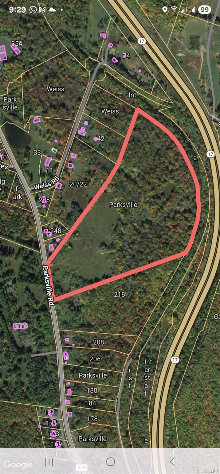 Parksville, NY 12768, USA property photo