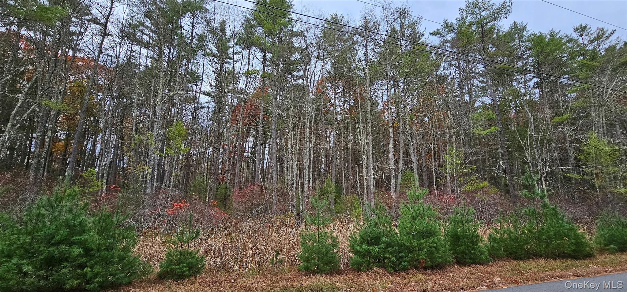 28 Summit Dr, Eldred, NY 12732, USA property photo