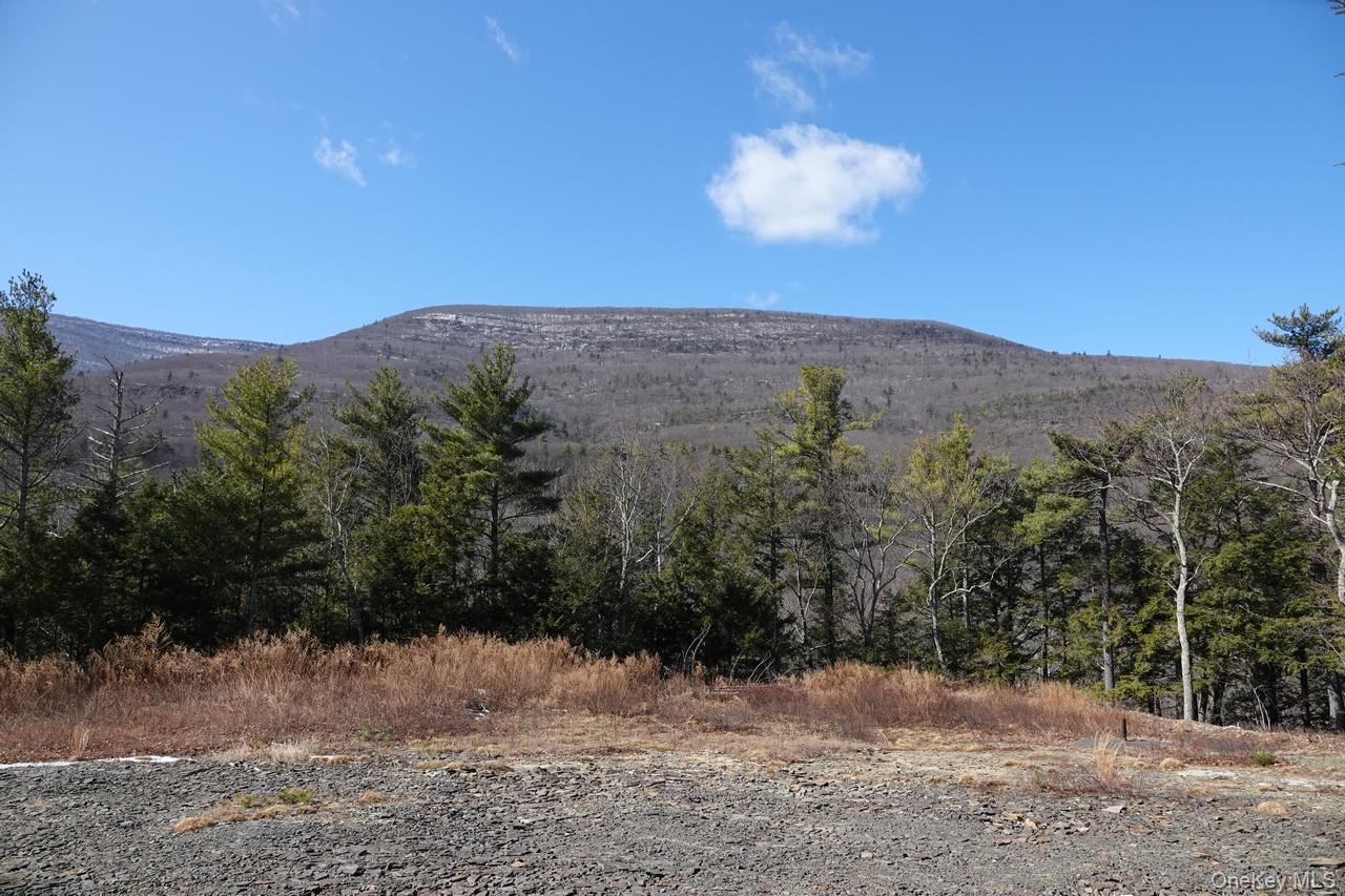 Manorville Rd, Saugerties, NY 12477, USA property photo
