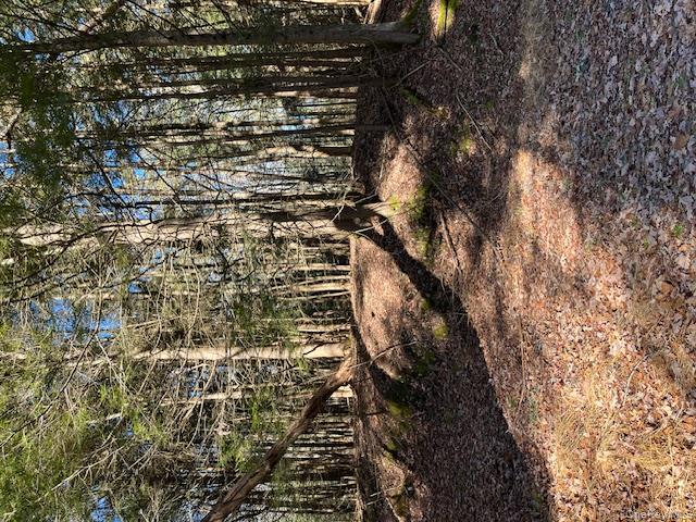 198 Starlight Dr, Smallwood, NY 12778, USA property photo